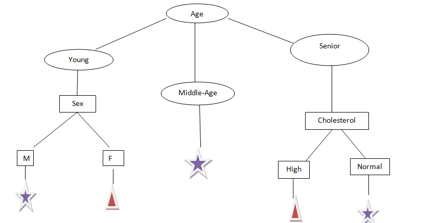 Another Attribute Age work Decision tree algorithm